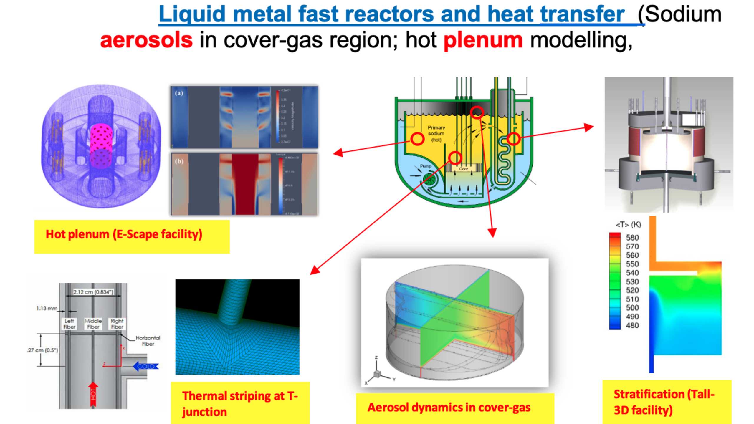 Liquid metal fast reactors and heat transfer