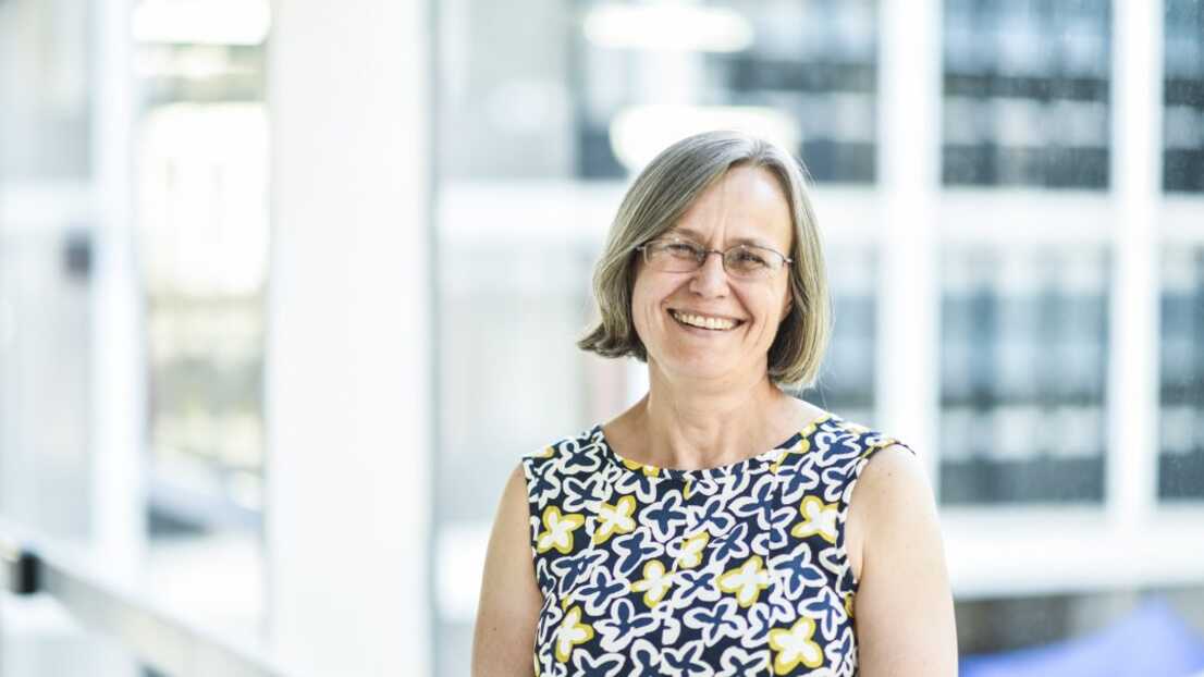Professor Diana Mitlin 