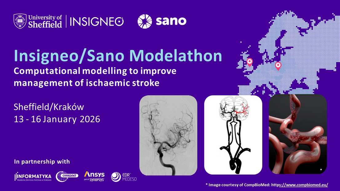 Insigneo event graphic - Insigneo/Sano Modelathon Computational modelling to improve management of ischaemic stroke    Sheffield/Kraków13 - 16 January 2026