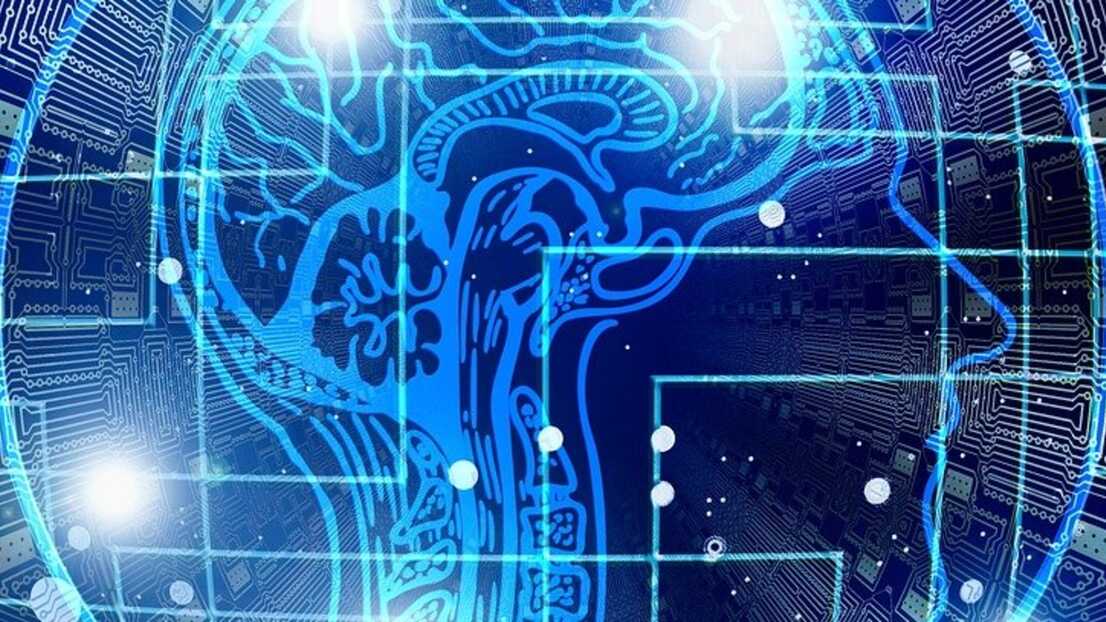 Graphic of a digital outline of a human skull and brain