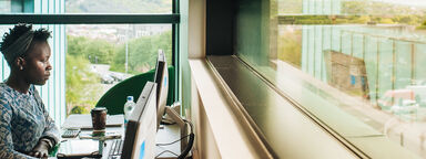 Student studying in the Information Commons library
