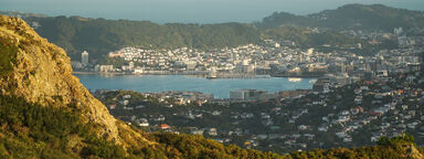 Wellington city