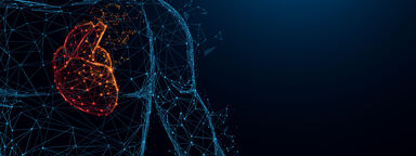 Illustration of human heart anatomy formed from connecting lines and triangles showing a  connecting network 