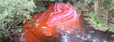 Dye trace Upper Don, 22 August 2007. © Copyright 2007 Beki Guymer.