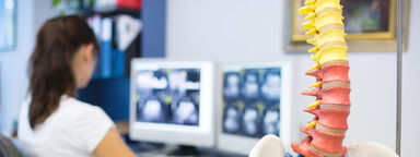 A model of a spine and a woman working at a computer in the background