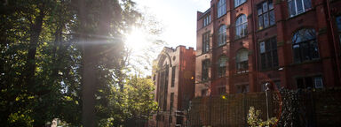 An image of the back of Firth Court with trees in the foreground