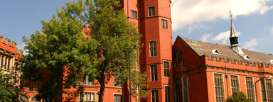 Ash tree outside Firth Court