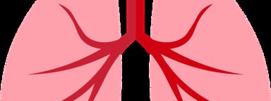 A cartoon drawing of lungs, in pink