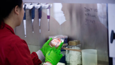 Medicine student with petri dish
