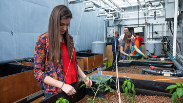 Sustainable food resilient city