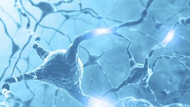 Neuroscience nuerones 