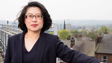 Energy Professor Lenny Koh