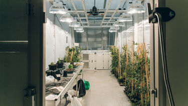 Arthur Willis Environment Centre