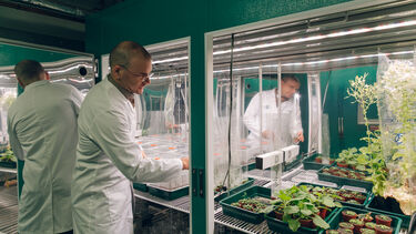 Professor Jurriaan Ton works on plant samples which are stored under lights at the University's Arthur Willis Environment Centre.
