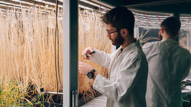 A postgraduate student in a lab coat at work.