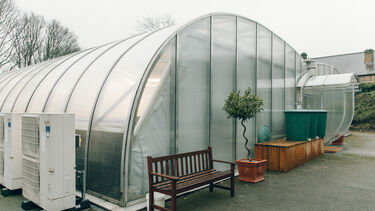 Greenhouses at the University of Sheffield.