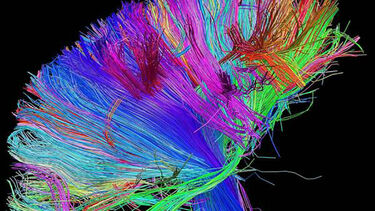 White matter pathways of the human brain revealed by diffusion tensor imaging