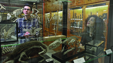 Zoology Alfred Denny Museum students