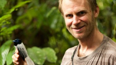 Professor David Edwards