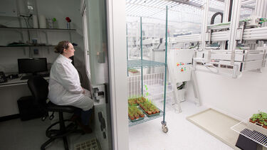 The Wolfson Centre for Disease Phenomics