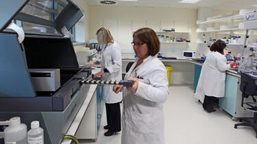 A group of Translational Neuroscience technicians hard at work.