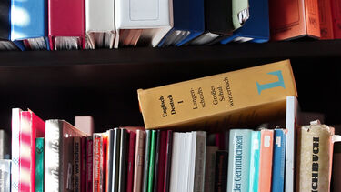 DLL Modern Languages and Cultures books