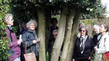 The University of Sheffield Women's Club