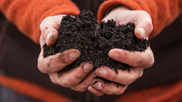Hands holding soil