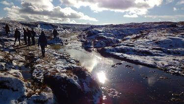 Wilderness medical society