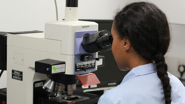 A student looking through a microscope