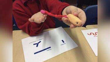 Science Week project