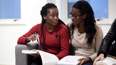 Two postgraduate students working together - image 