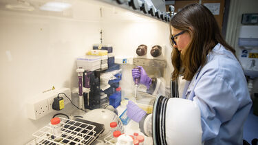 A medical researcher in the lab