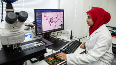 A postgraduate medical student looking at results on a screen
