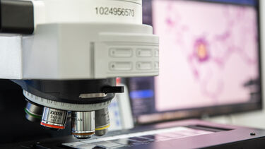 A scientific microscope and display screen