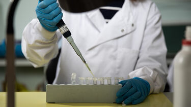 Dental research using test tubes