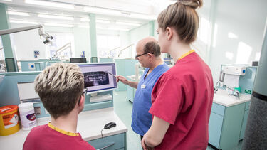Staff and students in the Dental School.