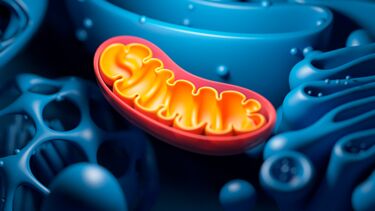 Liver disease drug could help restore cells damaged by Alzheimer’s