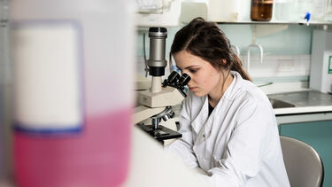 A PHD researcher looks through a microscope. 