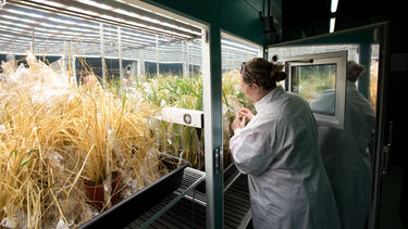 A researcher in the Arthur Willis Environment Centre
