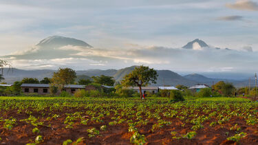 Our Field Centre in Tanzania