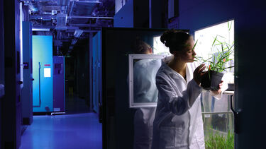 Postgraduate student in a lab coat looking at a plant