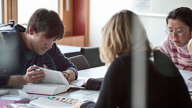 Undergraduates studying