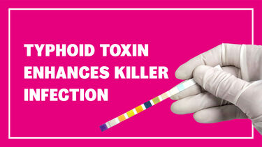 Typhoid image banner