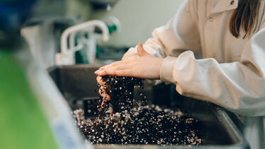 Scientist potting plants in soil