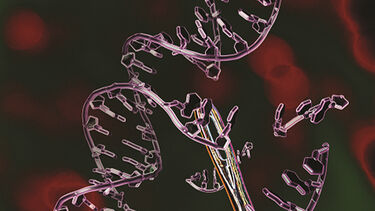 Scientists have unlocked a crucial part of the mystery as to how our DNA can replicate and repair itself – something which is essential for all life forms.