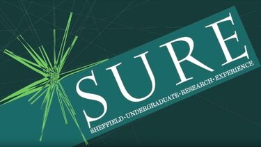 the SURE logo
