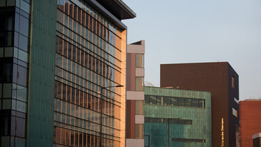 An exterior photo of the Ella Armitage Building viewed from Brook Hill