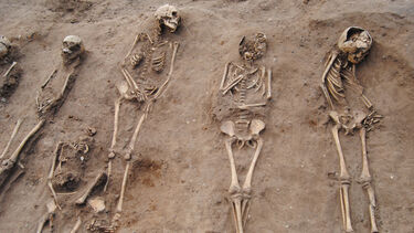 Mass burial of bodies at Thornton Abbey, Lincolnshire
