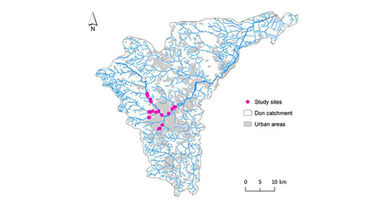 The area that student Chih-Wei Tsai carried out her research. 